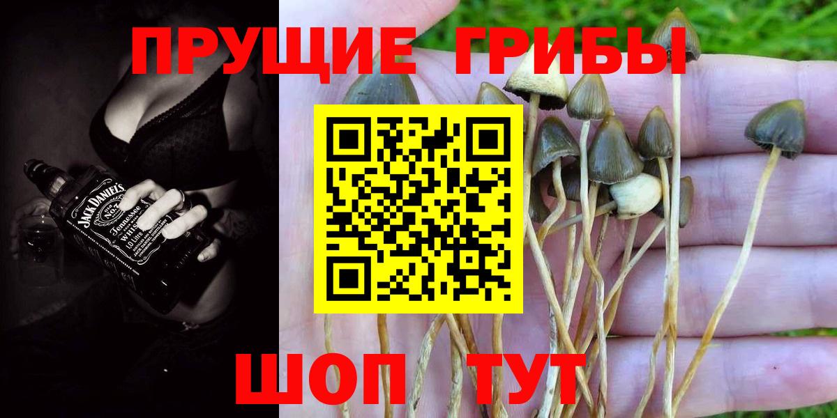 Валуйки  Галлюциногенные грибы прущие грибы  Вход с VPN  Галлюциногенные грибы MAGIC MUSHROOMS 